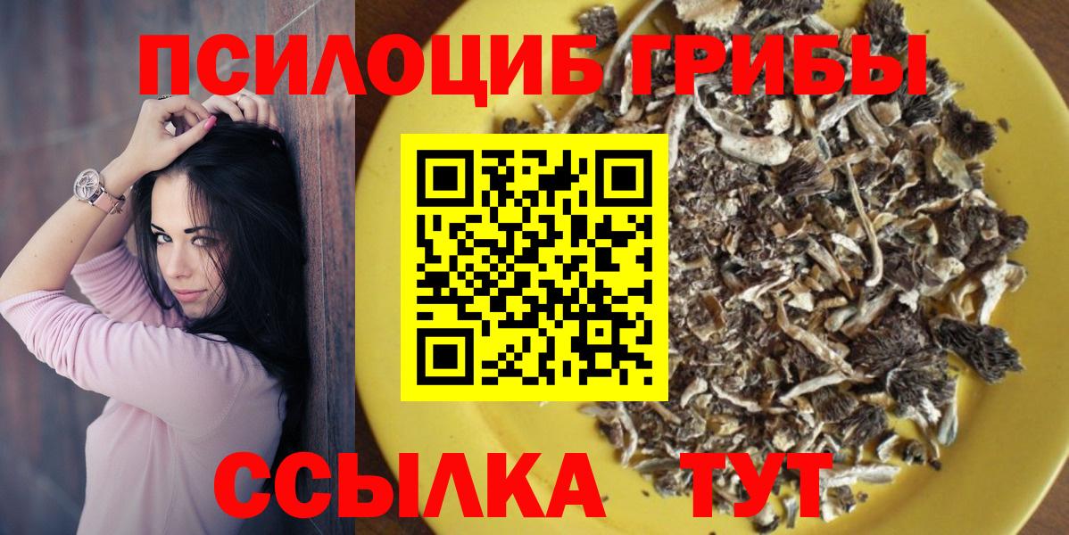 Белгород  Псилоцибиновые грибы Cubensis  Галлюциногенные грибы прущие грибы  Вход с VPN 
