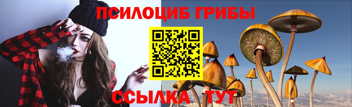 Псилоцибиновые грибы мицелий Белгород